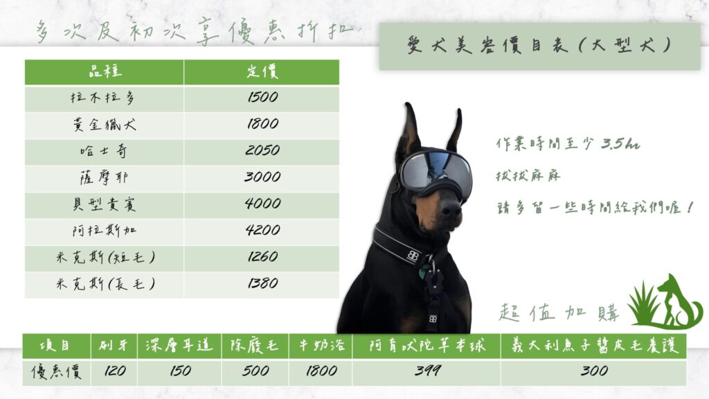 岩蘭草寵物 服務介紹及說明 page 0014