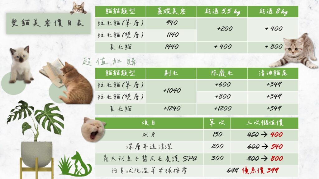 岩蘭草寵物 服務介紹及說明 page 0015